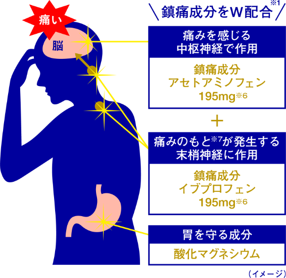 痛みに働く2つの作用